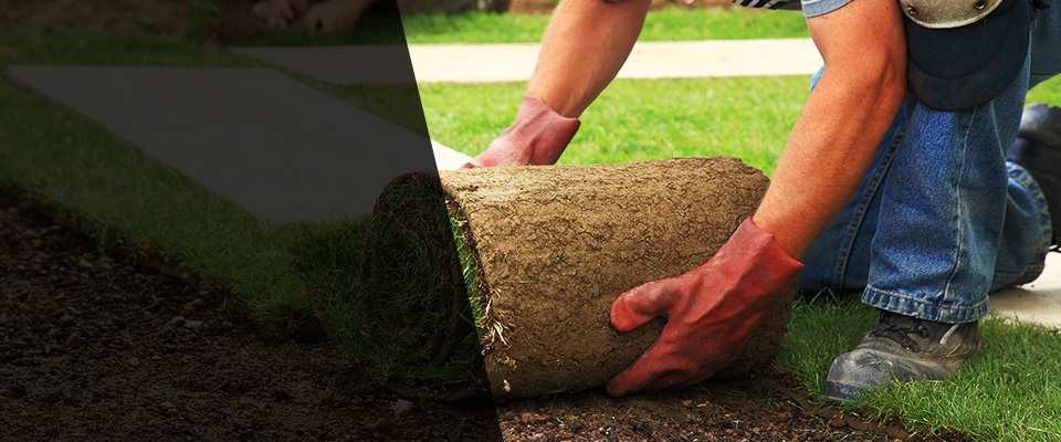 Caddo Mills Landscapers